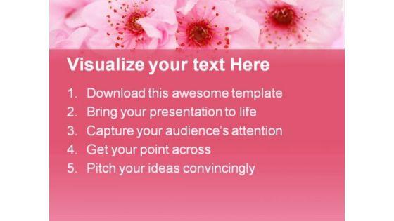 spring_cherry_flowers_background_beauty_powerpoint_templates_and_powerpoint_backgrounds_0611_text.jpg