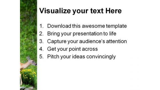 spring_deer_animals_powerpoint_themes_and_powerpoint_slides_0611_print.jpg