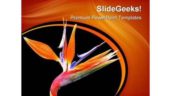 spring_flower_beauty_powerpoint_templates_and_powerpoint_backgrounds_0311_title.jpg