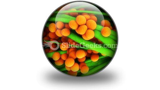 staphylococcus_science_powerpoint_icon_c.jpg