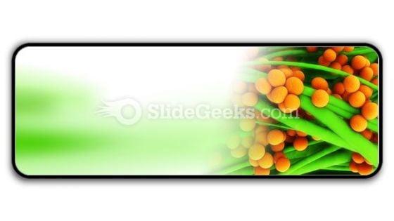 staphylococcus_science_powerpoint_icon_r.jpg