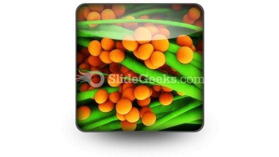 staphylococcus_science_powerpoint_icon_s.jpg