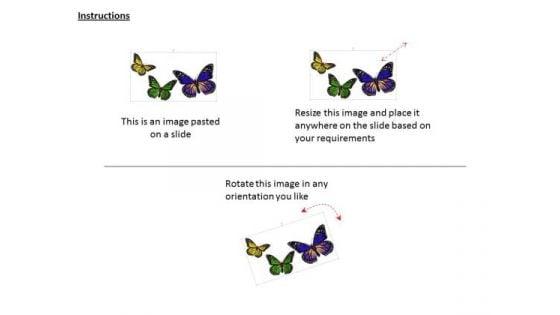 stock_photo_3d_colorful_butterflies_powerpoint_slide_2.jpg
