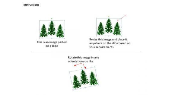stock_photo_backdrop_of_pine_trees_powerpoint_slide_2.jpg