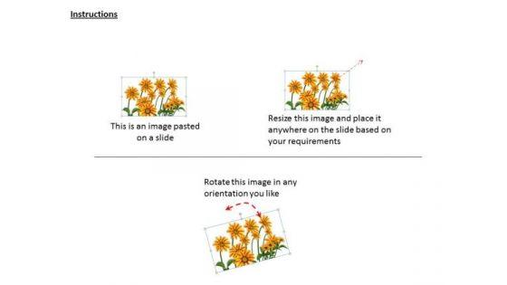 stock_photo_background_with_bunch_of_sunflowers_powerpoint_template_2.jpg
