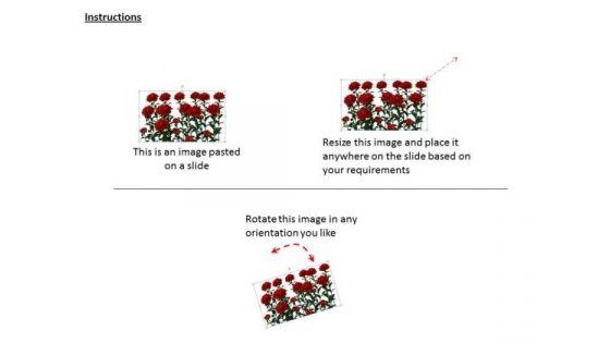 stock_photo_background_with_red_roses_powerpoint_template_2.jpg