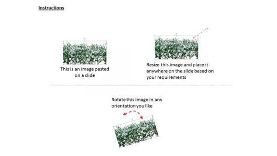 stock_photo_background_with_white_flowers_powerpoint_template_2.jpg