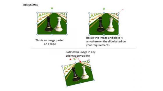 stock_photo_black_king_with_white_queen_on_green_carpet_powerpoint_slide_2.jpg