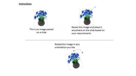stock_photo_blue_flower_bunch_in_black_pot_powerpoint_slide_2.jpg