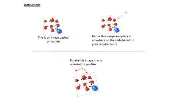 stock_photo_blue_ladybird_in_red_ladybirds_powerpoint_slide_2.jpg