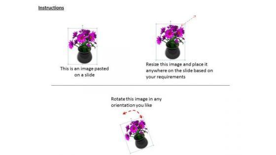 stock_photo_bunch_of_flowers_inside_pot_powerpoint_slide_2.jpg