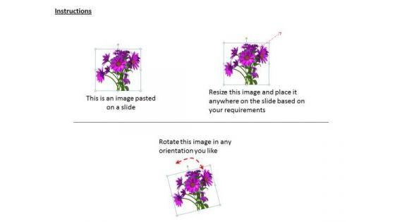 stock_photo_bunch_of_pink_flowers_powerpoint_slide_2.jpg