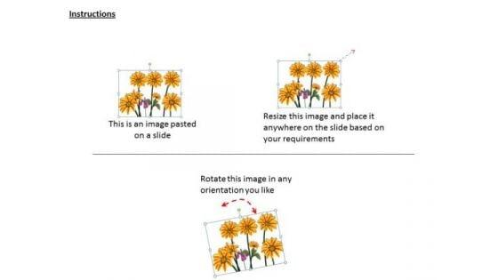 stock_photo_bunch_of_sunflowers_powerpoint_template_2.jpg