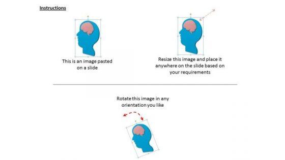 stock_photo_business_policy_and_strategy_blue_color_human_brain_clipart_2.jpg