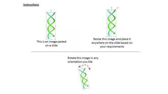 stock_photo_business_strategy_implementation_two_strands_of_dna_structure_photos_2.jpg