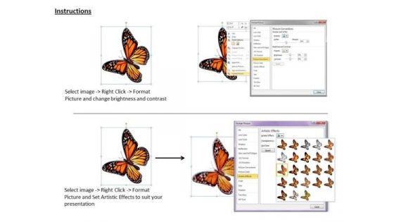 stock_photo_business_strategy_process_background_slide_with_butterfly_images_photos_3.jpg