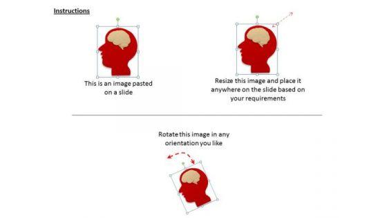 stock_photo_business_strategy_review_brain_human_body_and_functioning_pictures_images_2.jpg