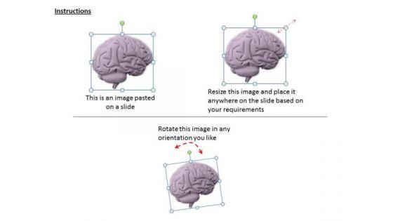 stock_photo_business_strategy_review_intelligence_of_human_brain_clipart_images_2.jpg