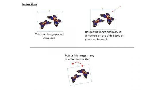 stock_photo_butterflies_with_bright_colors_powerpoint_slide_2.jpg