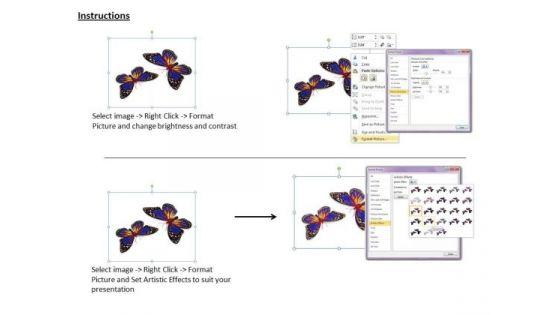 stock_photo_butterflies_with_bright_colors_powerpoint_slide_3.jpg