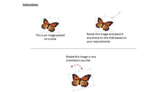 stock_photo_butterfly_natures_gift_powerpoint_template_2.jpg