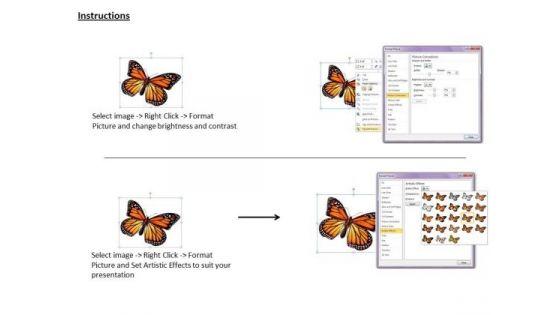 stock_photo_butterfly_natures_gift_powerpoint_template_3.jpg