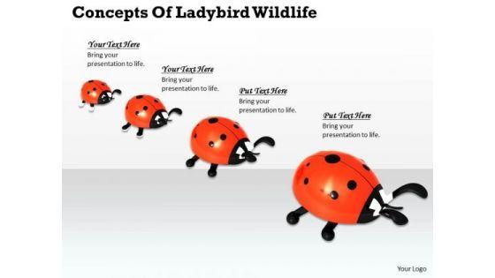 stock_photo_concepts_of_ladybird_wildlife_powerpoint_template_1.jpg