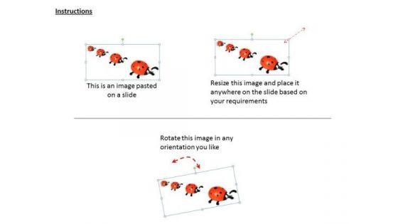 stock_photo_concepts_of_ladybird_wildlife_powerpoint_template_2.jpg