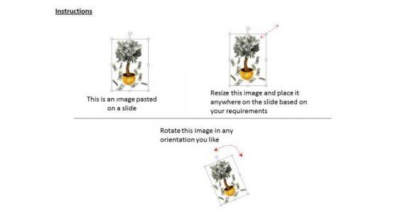 stock_photo_dollar_notes_falling_from_a_tree_powerpoint_slide_2.jpg