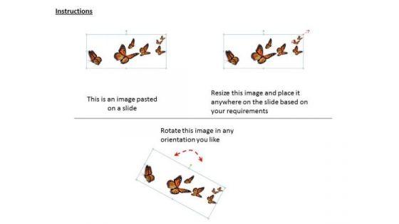 stock_photo_flying_butterflies_nature_theme_powerpoint_slide_2.jpg