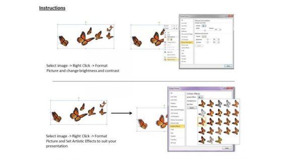 stock_photo_flying_butterflies_nature_theme_powerpoint_slide_3.jpg