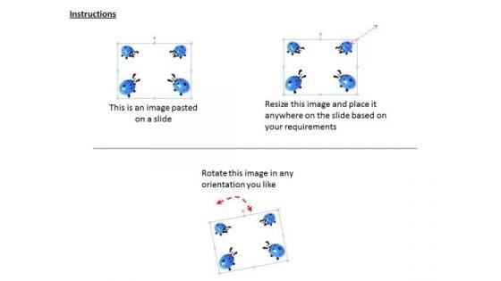 stock_photo_four_ladybugs_on_white_background_powerpoint_template_2.jpg