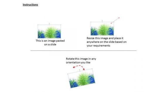 stock_photo_garden_of_blue_green_flowers_ppt_template_2.jpg