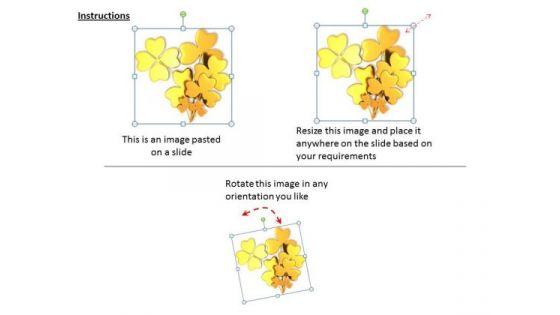 stock_photo_golden_clover_lucky_leaves_powerpoint_template_2.jpg