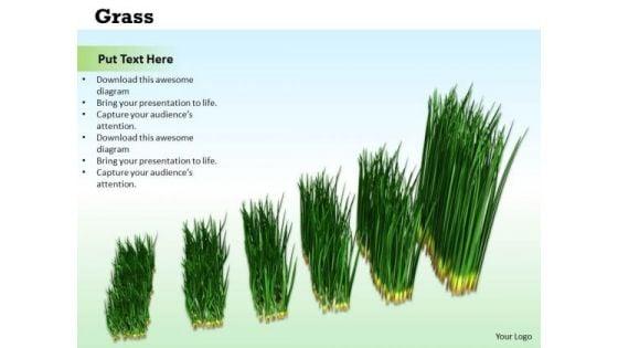 stock_photo_graph_of_growing_green_grass_powerpoint_slide_1.jpg
