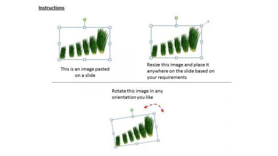 stock_photo_graph_of_growing_green_grass_powerpoint_slide_2.jpg