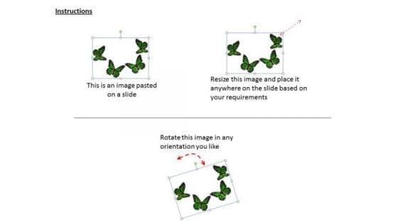 stock_photo_graphic_of_four_green_butterflies_powerpoint_template_2.jpg