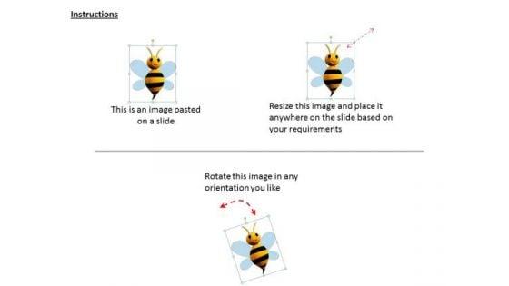 stock_photo_graphic_of_honey_bee_design_powerpoint_template_2.jpg