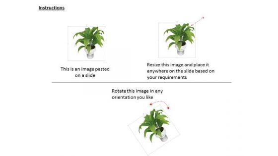 stock_photo_graphics_of_green_plant_in_vase_powerpoint_slide_2.jpg