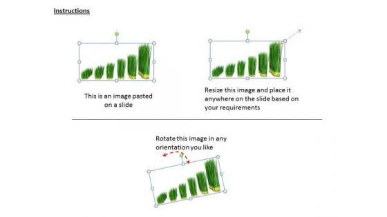 stock_photo_green_grass_business_growth_chart_powerpoint_slide_2.jpg