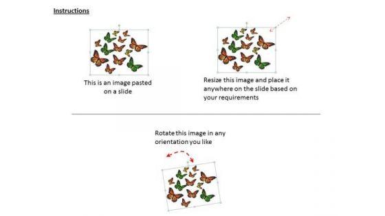 stock_photo_group_of_flying_butterflies_powerpoint_template_2.jpg