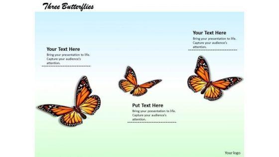 stock_photo_illustration_of_colorful_butterflies_pwerpoint_slide_1.jpg