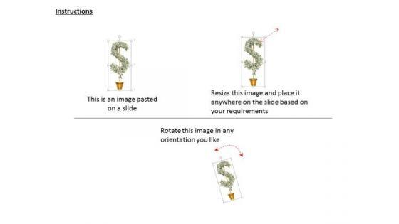 stock_photo_illustration_of_dollar_plant_powerpoint_slide_2.jpg