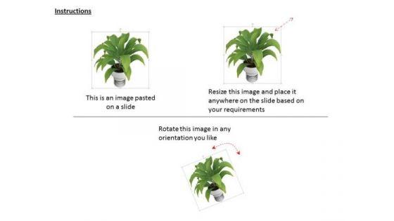 stock_photo_illustration_of_green_plant_in_white_vase_powerpoint_slide_2.jpg