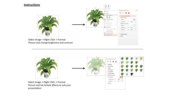 stock_photo_illustration_of_indoor_plant_powerpoint_slide_3.jpg