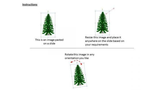 stock_photo_illustration_of_pine_tree_powerpoint_slide_2.jpg