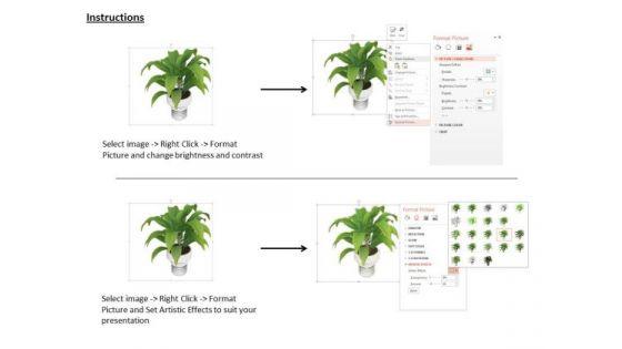 stock_photo_illustration_of_plant_in_white_vase_powerpoint_slide_3.jpg