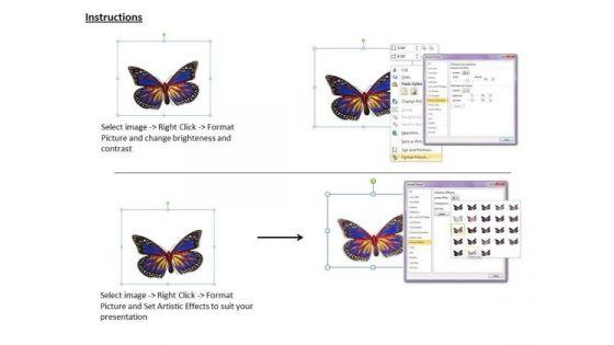 stock_photo_image_of_beautiful_butterfly_powerpoint_slide_3.jpg
