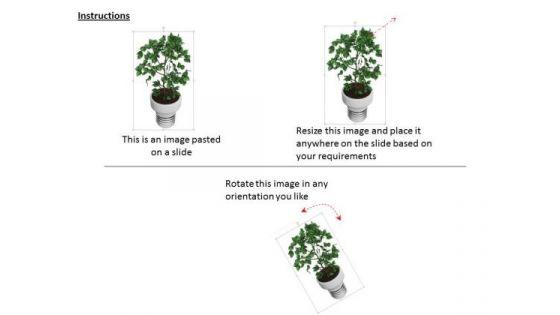 stock_photo_image_of_indoor_plant_powerpoint_slide_2.jpg