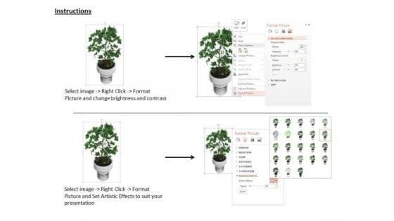 stock_photo_image_of_indoor_plant_powerpoint_slide_3.jpg